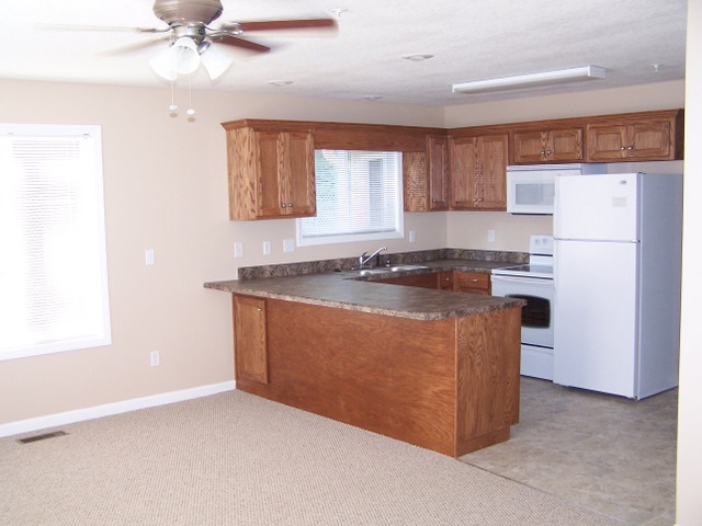 Kitchen from Living Rm